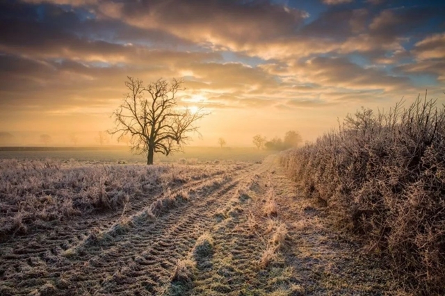 冬季外拍不容易，这些问题要注意
