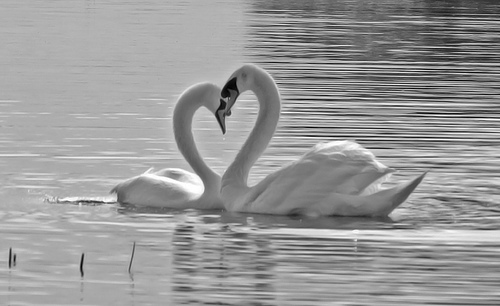 实用入门构图技巧