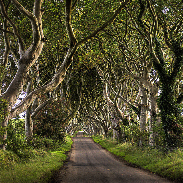 8个公路摄影的小提示 摄影:Etrusia UK