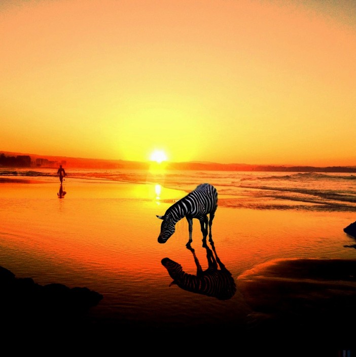 2013 Mobile Photography Awards