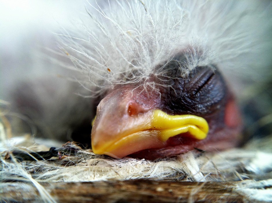 2013 Mobile Photography Awards