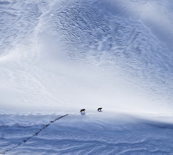 第57届荷赛奖揭晓 中国三位摄影师获奖 第57届荷赛奖揭晓 中国三位摄影师获奖