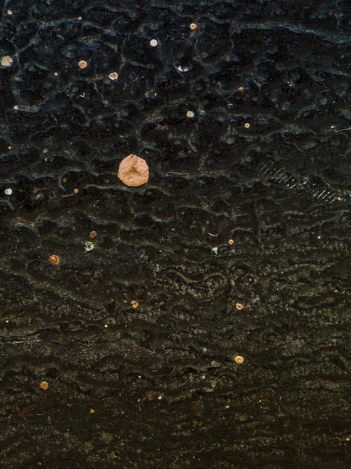 观念摄影：寻宝游戏