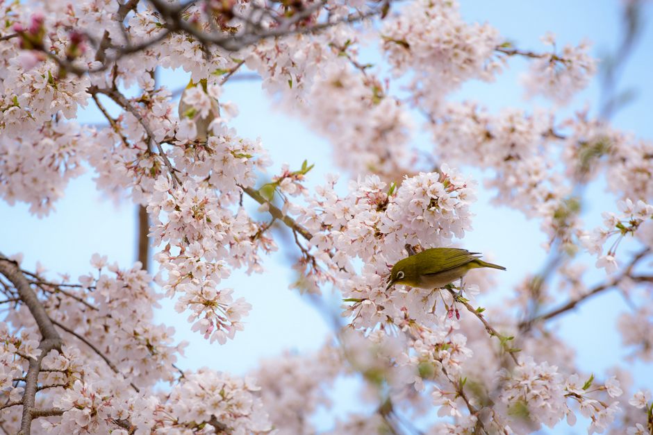 风光摄影：?；?/></a> </p>
<p class=