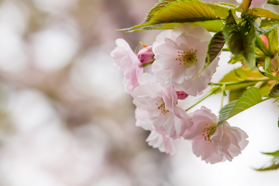 风光摄影：?；?/></a> </p>
<p class=