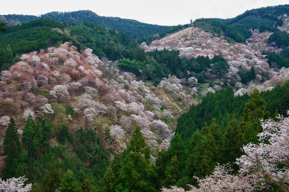 风光摄影：?；?/></a> </p>
<p class=