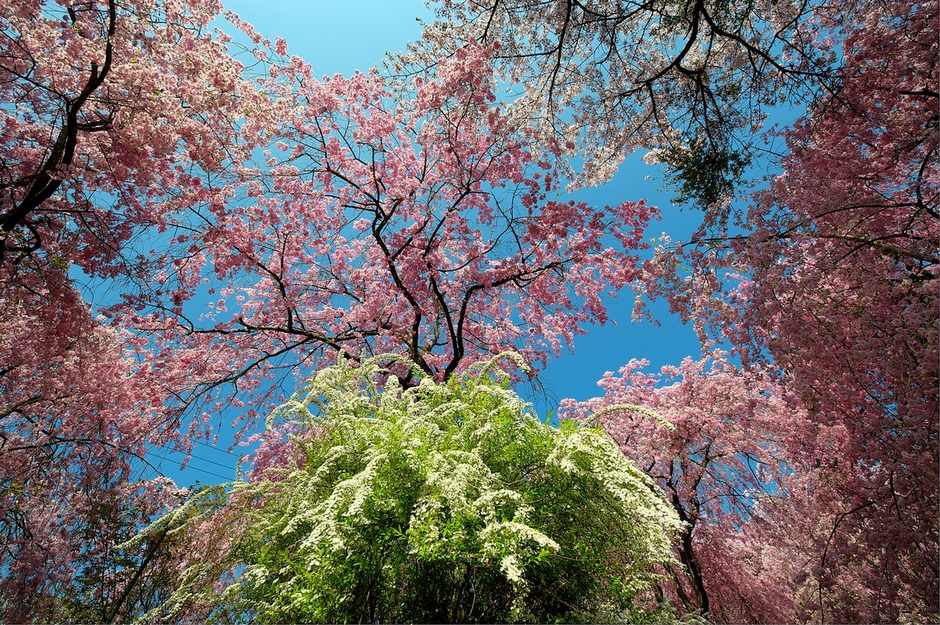 风光摄影：?；?/></a> </p>
<p class=