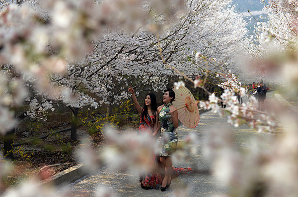 国家级摄影创作基地挂牌邹平?；ㄉ?/></a></p>
<p style=