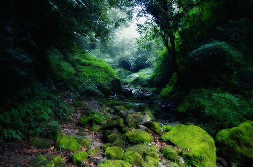 重新认识套装镜头的5大好处