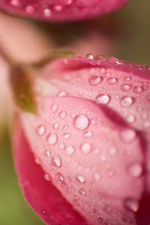 重新认识套装镜头的5大好处