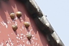 新锐超广角 佳能EF 16-35mm F4L评测