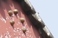 新锐超广角 佳能EF 16-35mm F4L评测