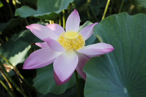 新锐超广角 佳能EF 16-35mm F4L评测