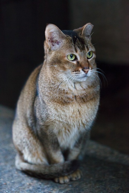 对号入座 只有摄影人才关心的照片7件事 只有摄影人才关心的照片七件事