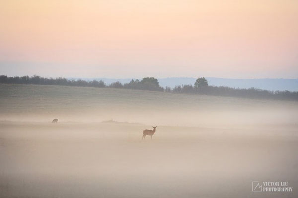 雾天风光摄影的构图与对焦 雾天风光摄影的构图与对焦