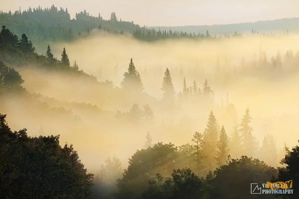 雾天风光摄影的构图与对焦 雾天风光摄影的构图与对焦