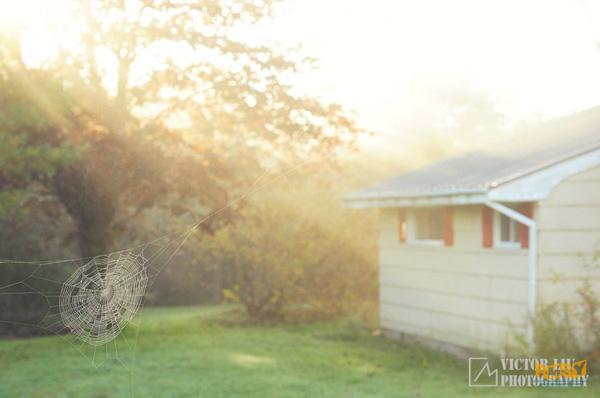 雾天风光摄影的构图与对焦 雾天风光摄影的构图与对焦