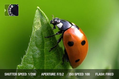 从零开始学摄影 曝光模式用法实战详解 从零开始学摄影 曝光模式用法实战详解