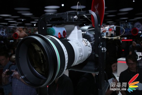 顶级绿圈新镜 佳能400mm DO IS II试用 顶级绿圈新镜 佳能400mm DO IS II试用