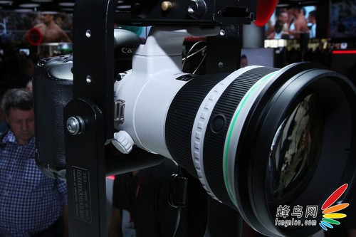 顶级绿圈新镜 佳能400mm DO IS II试用 顶级绿圈新镜 佳能400mm DO IS II试用