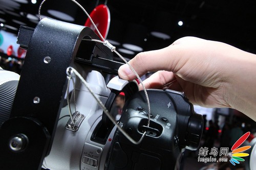 顶级绿圈新镜 佳能400mm DO IS II试用 顶级绿圈新镜 佳能400mm DO IS II试用