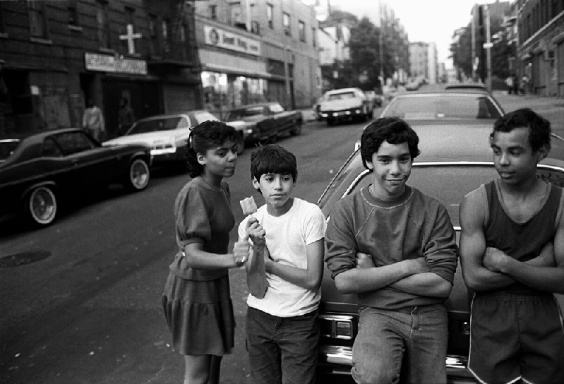 The Bronx: 30 Year Documentation 1977-2000