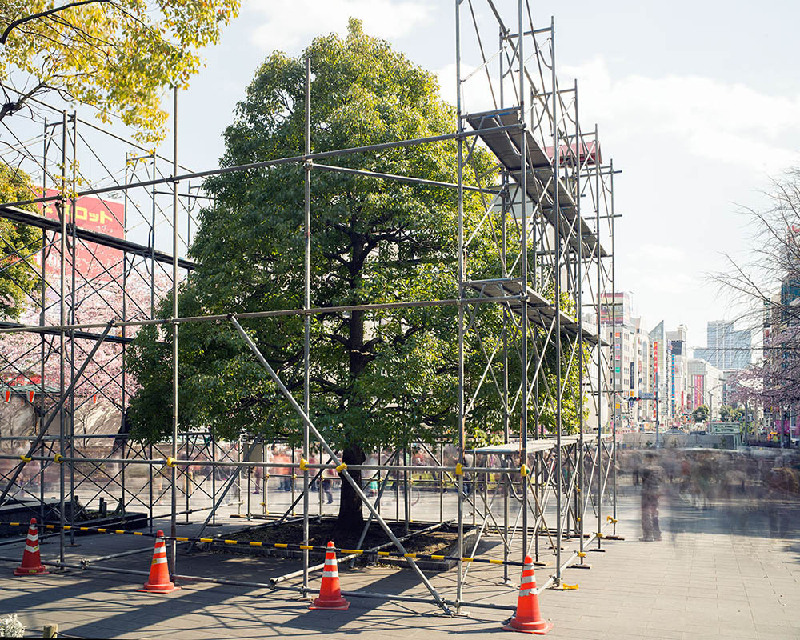 Matthew Pillsbury (7)