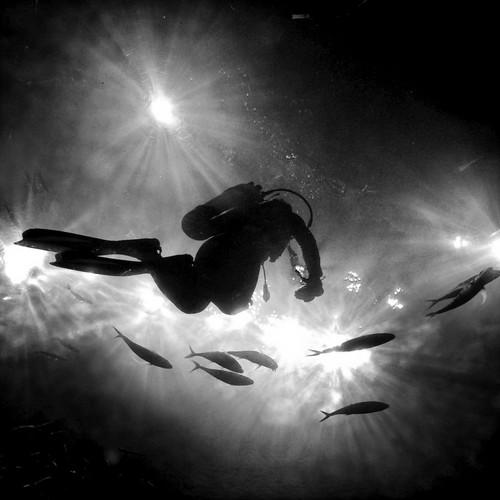 六大独家建议 教你你如何提高手机摄影质量 提高手机摄影质量 6个建议告诉您