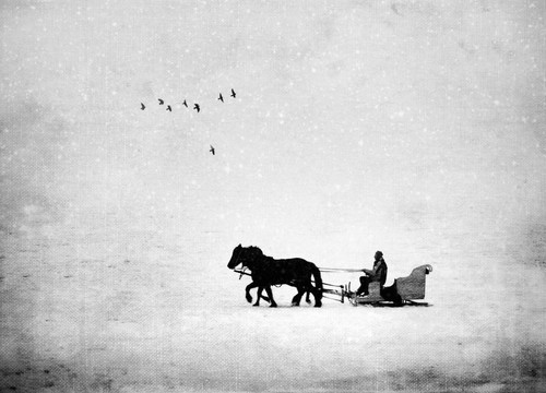 六大独家建议 教你你如何提高手机摄影质量 提高手机摄影质量 6个建议告诉您