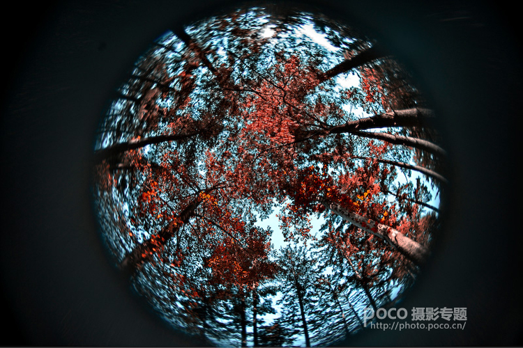 小镜头大创意 Lensbaby镜头的六种玩法