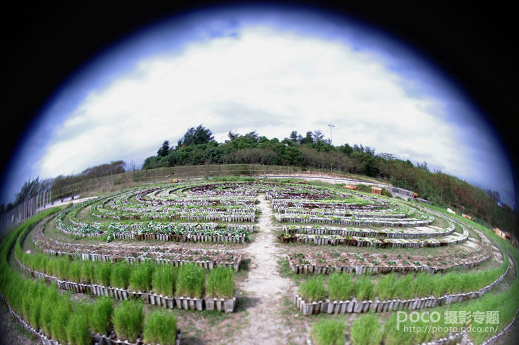 小镜头大创意 Lensbaby镜头的六种玩法