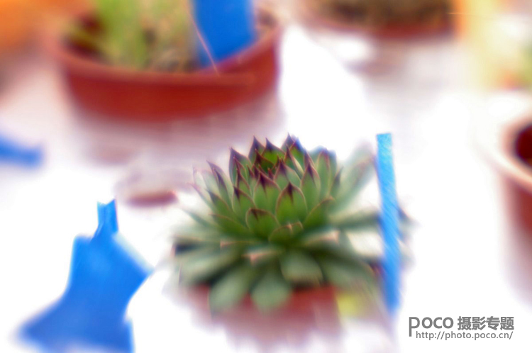 小镜头大创意 Lensbaby镜头的六种玩法