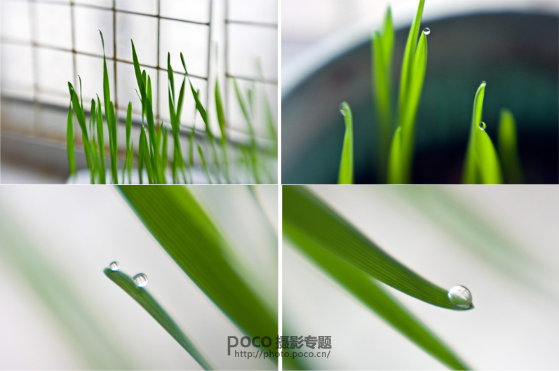 小镜头大创意 Lensbaby镜头的六种玩法