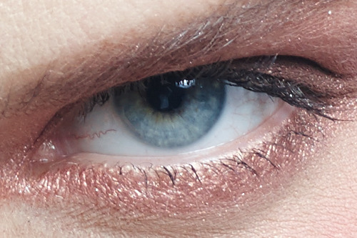 5000万像素对决 佳能5DS VS 飞思IQ350MP