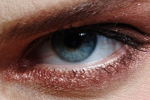 5000万像素对决 佳能5DS VS 飞思IQ350MP