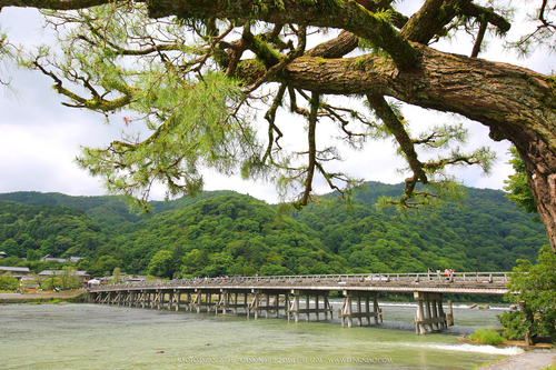 佳能11-24试拍京都