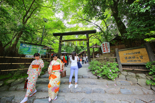 佳能11-24试拍京都