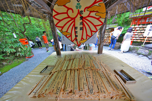 佳能11-24试拍京都