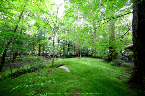 佳能11-24试拍京都