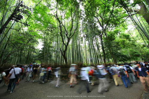 佳能11-24试拍京都