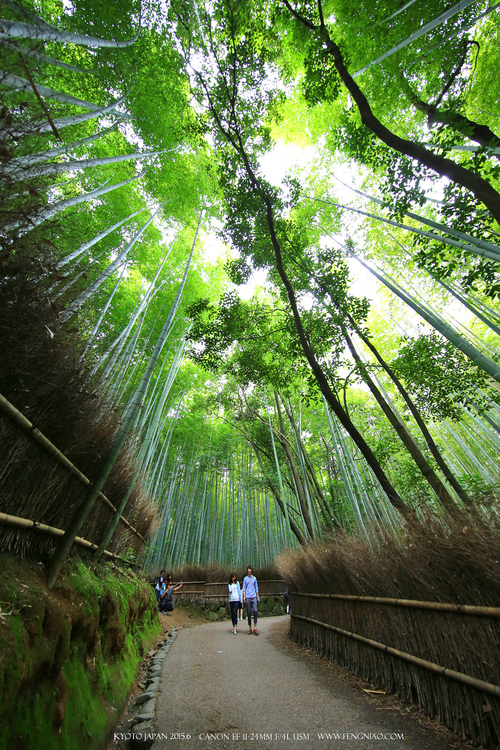 佳能11-24试拍京都