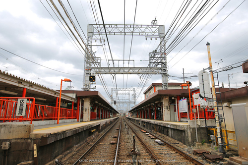 广无止境 佳能EF 11-24mm镜头试拍京都 佳能11-24试拍京都