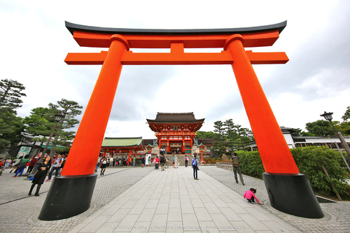 广无止境 佳能EF 11-24mm镜头试拍京都 佳能11-24试拍京都