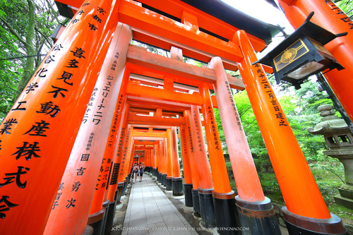 广无止境 佳能EF 11-24mm镜头试拍京都 佳能11-24试拍京都