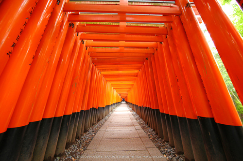 佳能11-24试拍京都