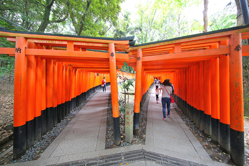 佳能11-24试拍京都