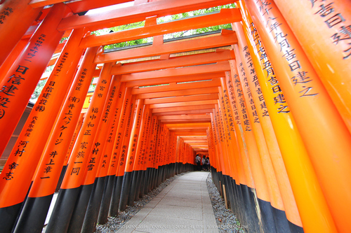 佳能11-24试拍京都