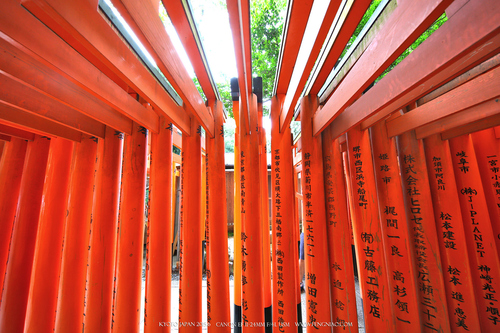 佳能11-24试拍京都