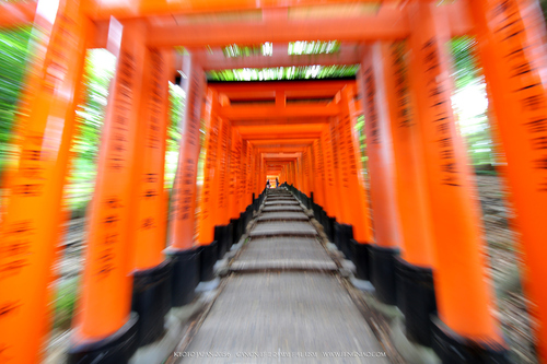 佳能11-24试拍京都