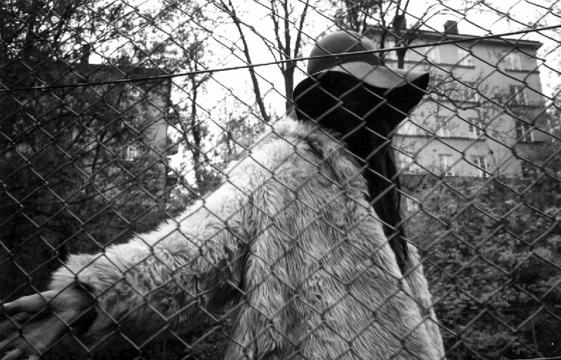 穿过泥土的公路、干涸的河床去冒险